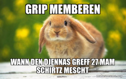 Regretful Rabbit