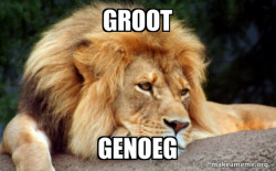 Confession Lion