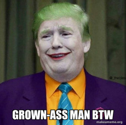 Donald Trump - The Joker