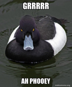 dona. Duck meme