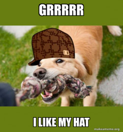 Scumbag dog