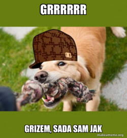 Strong dog