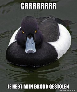 Revenge Duck ( Angry Advice Duck )