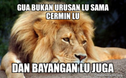 Confession Lion