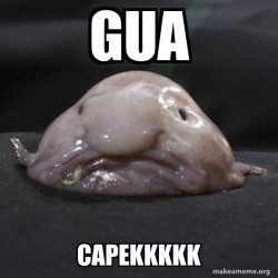 Blobfish capek banget