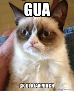 Grumpy Cat paraaah