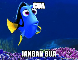 Dory from Nemo  (5 second memory)
