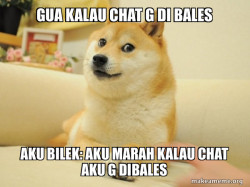 Doge