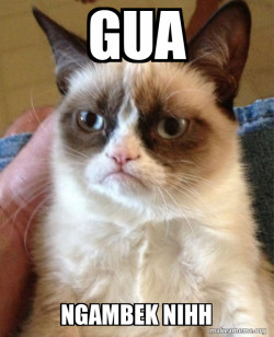 Grumpy Cat