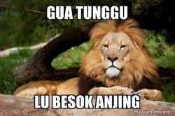 Contemplative Lion