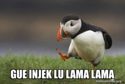 Unpopular Opinion Puffin