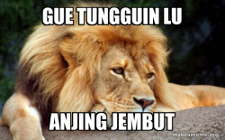 Confession Lion