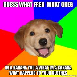 Advice Dog