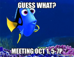 Dory from Nemo  (5 second memory)