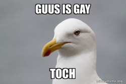 Stuff That Didn't Happen Seagull
