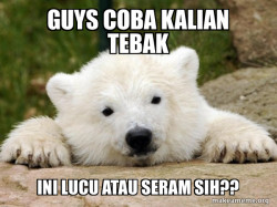 Popular Opinion Bear