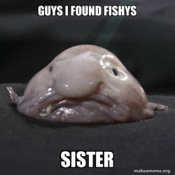 Blobfish