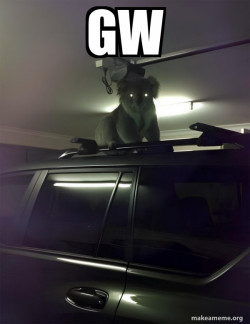 Drop Bear