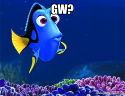 Dory from Nemo  (5 second memory)