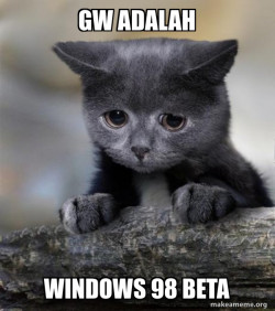 Confession Cat