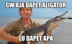 Steve irwin