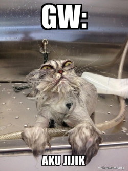 Cat Bath Returns