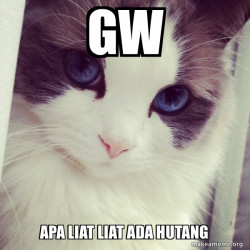 Ridiculously Photogenic Cat