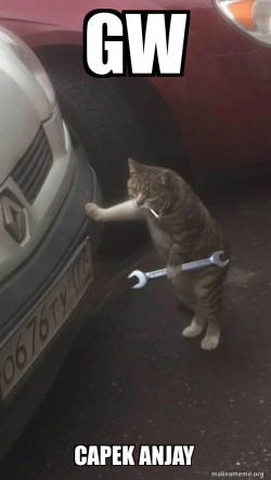Mechanic Cat