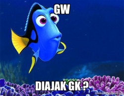 Dory from Nemo  (5 second memory)