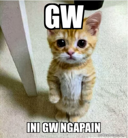 Cute Cat Standing