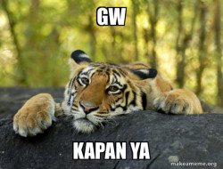 Confession Tiger