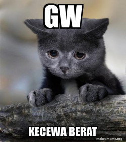 Confession Cat