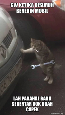 Mechanic Cat