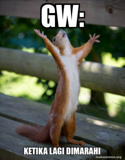 Happy Squirrel