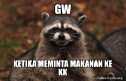 Evil Plotting Raccoon