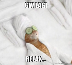 Pampered Cat Meme