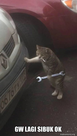 Mechanic Cat