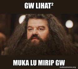 Hagrid - I should not have said that