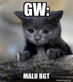 Confession Cat