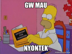 Internets Homer