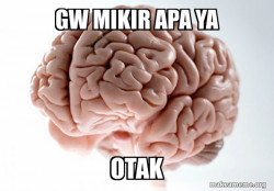 Scumbag Brain