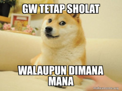 Doge