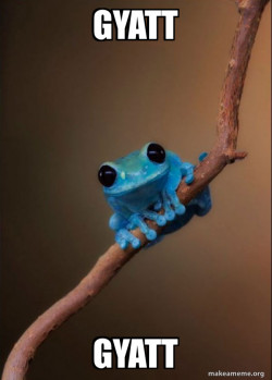 Small Fact Frog