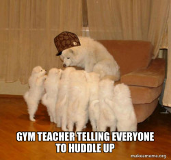 Scumbag Storytelling Dog