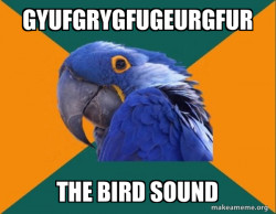 Paranoid Parrot