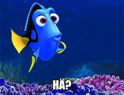 Dory from Nemo  (5 second memory)