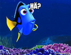 Dory from Nemo  (5 second memory)