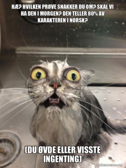 Cat bath