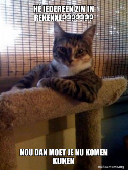 The Most Interesting Cat in the World