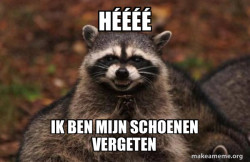 Evil Plotting Raccoon